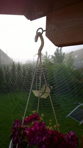 Netze im Garten